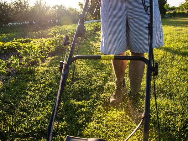 A push mower cutting a stripe into green grass